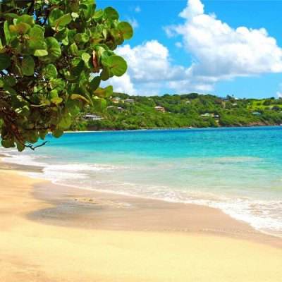 风云体育官方APP网址